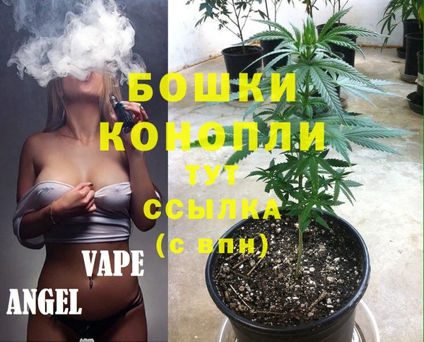 PSILOCYBIN Иннополис