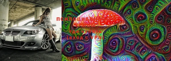 бутират Инта