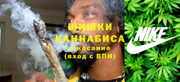 PSILOCYBIN Иннополис