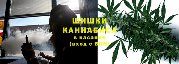 PSILOCYBIN Иннополис
