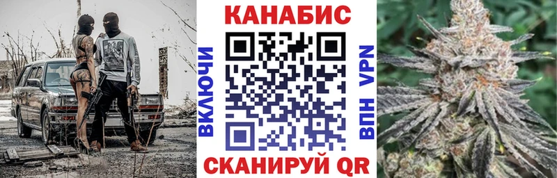 mega рабочий сайт  где купить наркоту  Каргополь  Каннабис индика 